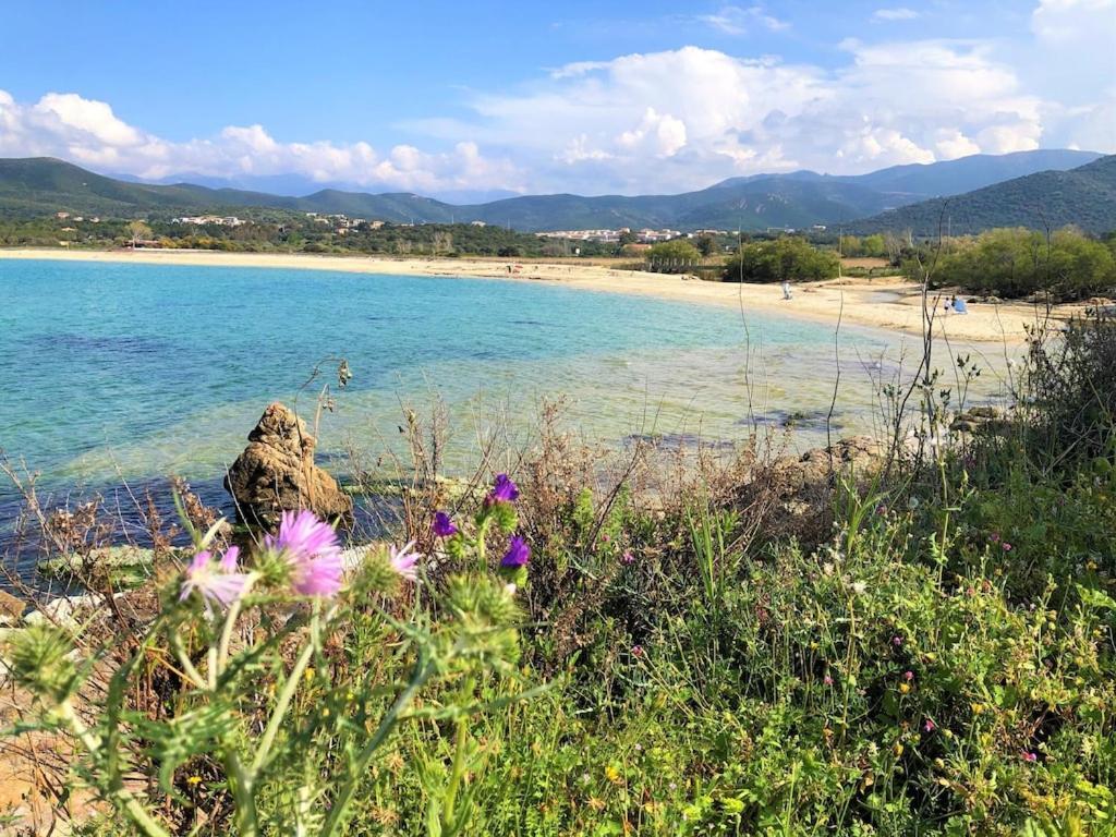 Agliastru A 900m De La De Lozari Holiday home